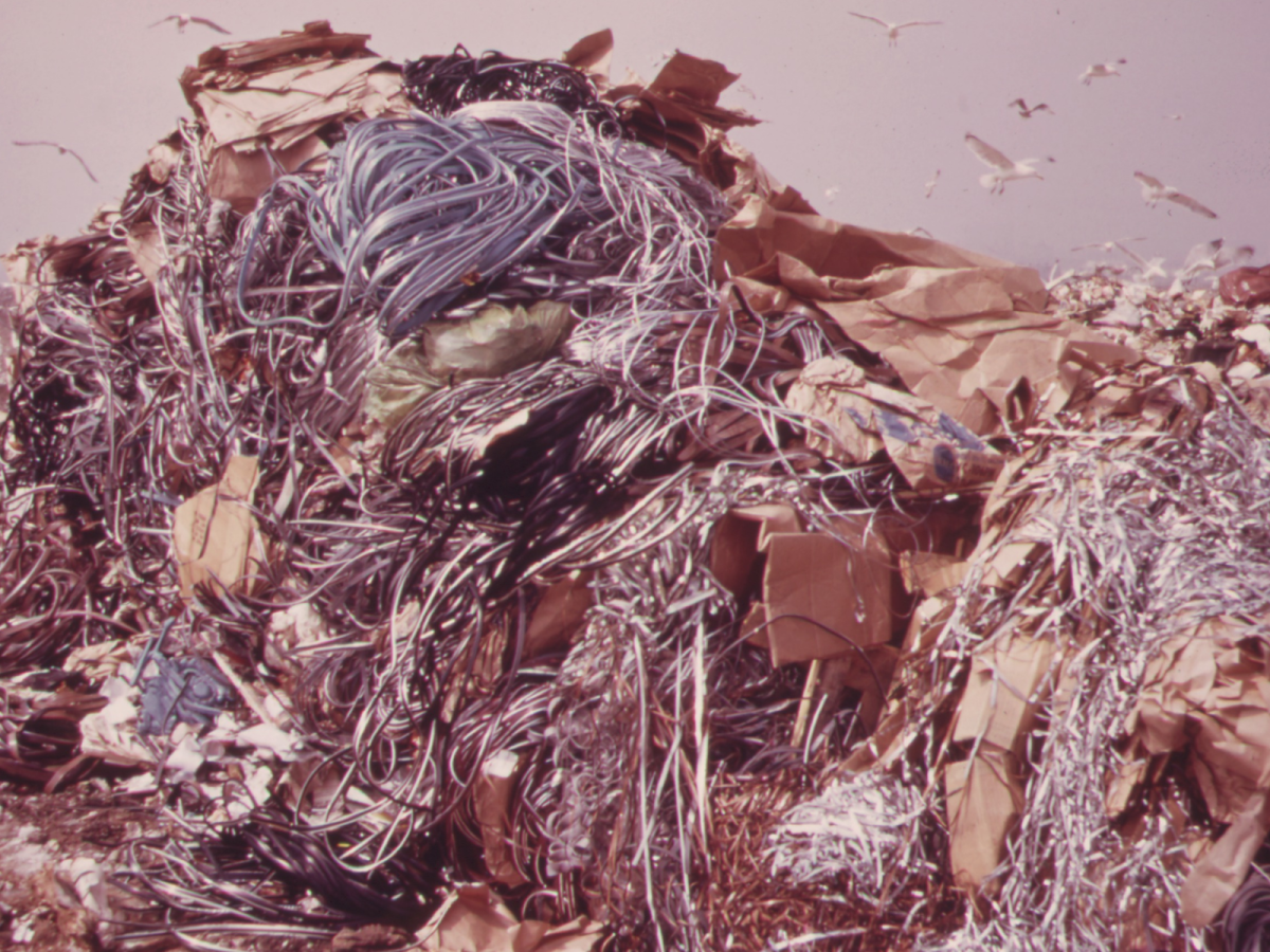 Garbage dumped in the marshes of Spring Creek in Jamaica Bay. US EPA, 1973, public domain.